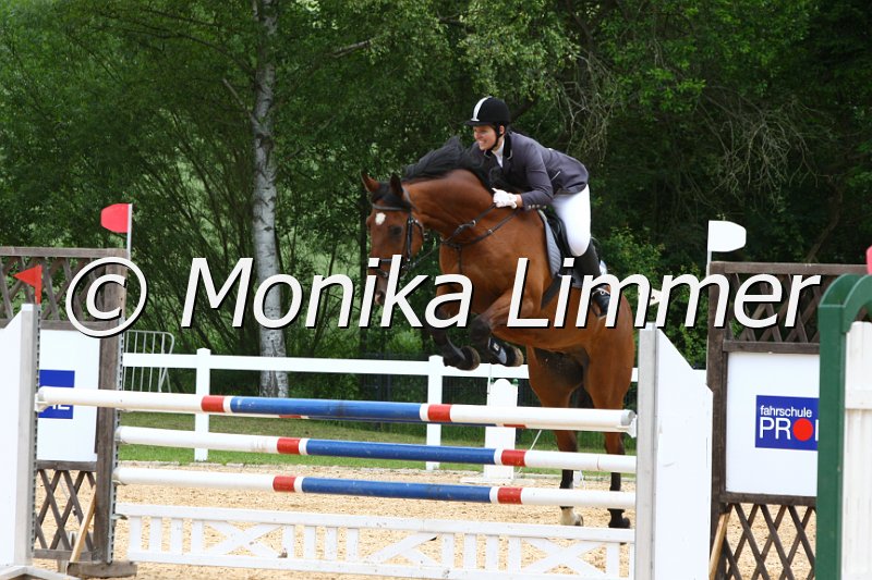 006M7330_Spring L.JPG